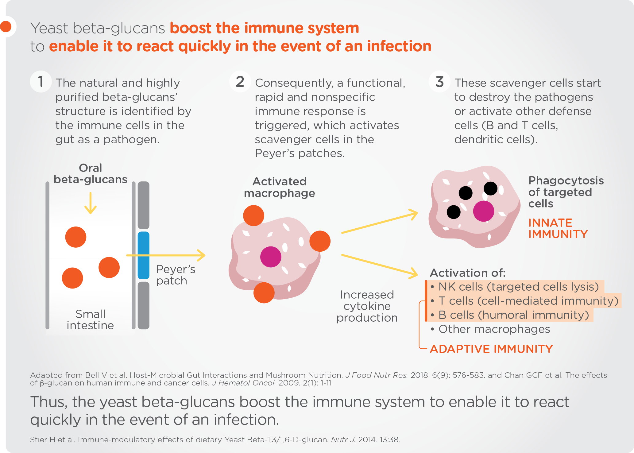 immuno-kids-graf-I